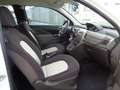 Lancia Ypsilon 1.2 *OK NEOPATENTATI* *FINANZIABILE* Weiß - thumbnail 10