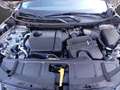 Nissan X-Trail X-Trail 1.5 VC-T e-4ORCE 213 PS 4x4 Tekna 5 Sitze Argent - thumbnail 5