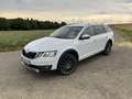 Skoda Octavia Scout 4x4 Weiß - thumbnail 6