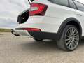 Skoda Octavia Scout 4x4 Weiß - thumbnail 20
