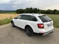 Skoda Octavia Scout 4x4 Weiß - thumbnail 4