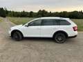 Skoda Octavia Scout 4x4 Weiß - thumbnail 5