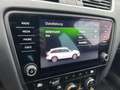 Skoda Octavia Scout 4x4 Weiß - thumbnail 14