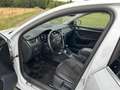 Skoda Octavia Scout 4x4 Weiß - thumbnail 7