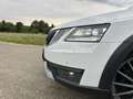 Skoda Octavia Scout 4x4 Weiß - thumbnail 16