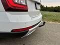 Skoda Octavia Scout 4x4 Weiß - thumbnail 17