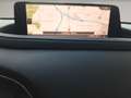 Mazda CX-30 e-SKYACTIV-G 140 Autom. Homura Grau - thumbnail 9