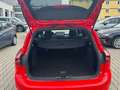 Ford Focus Turnier 1.0 EcoBoost MHEV ST-Line PANO/SHZ Rouge - thumbnail 8