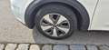 Kia Niro Niro Hybrid 1.6 GDI 2WD Aut. Vision Weiß - thumbnail 4