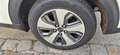 Kia Niro Niro Hybrid 1.6 GDI 2WD Aut. Vision Weiß - thumbnail 5