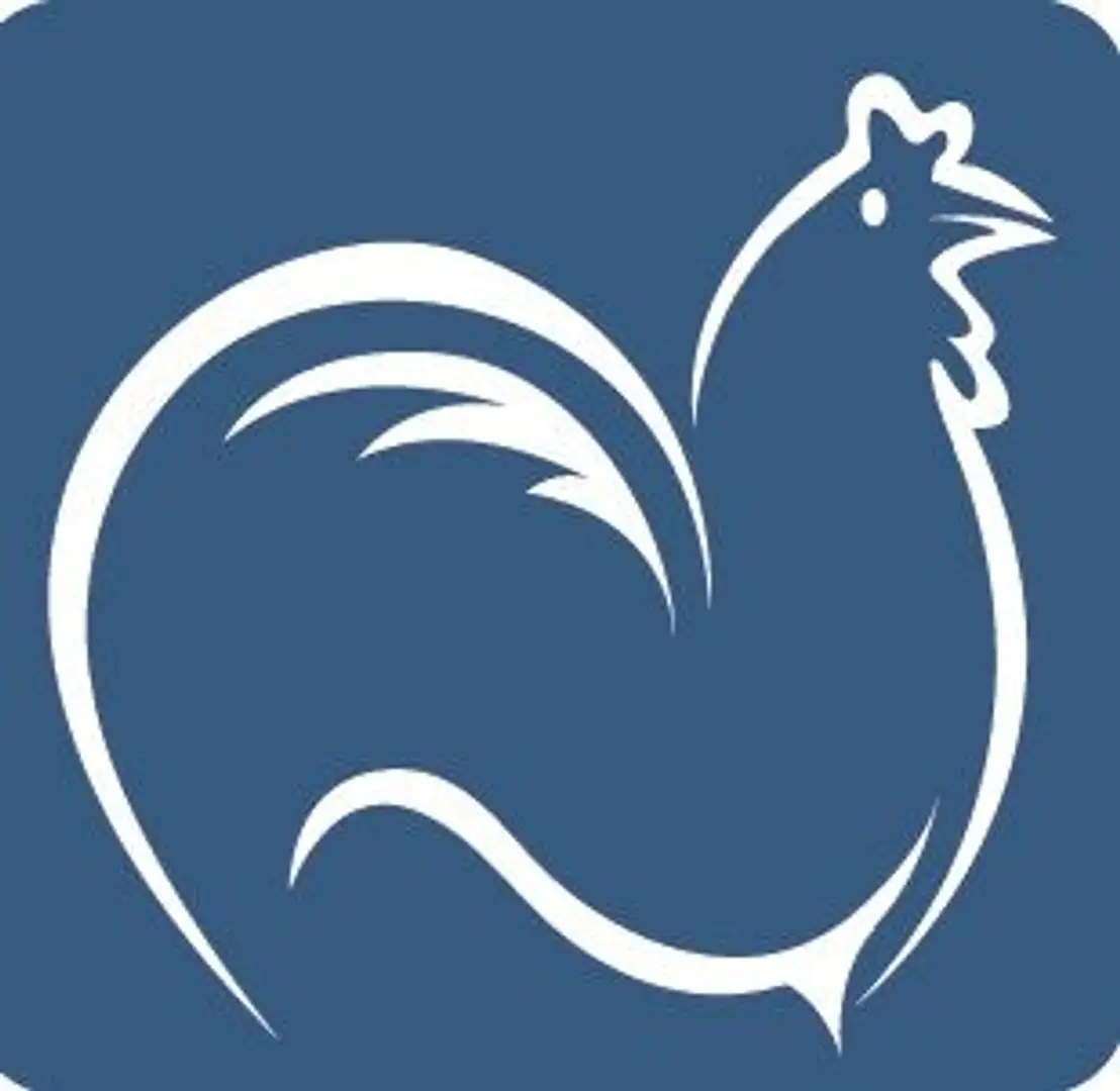 Ferrari FF 6,3 V12 4x4 Bi-Xenon, Navi - F151 Black - 1