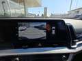 Kia Sportage 1.6 TGDi GPL 147cv BUSINESS Verde - thumbnail 13