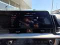 Kia Sportage 1.6 TGDi GPL 147cv BUSINESS Verde - thumbnail 19