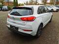 Hyundai i30 5-Türer 1.5 T M/T (48V) INTRO EDITION Weiß - thumbnail 4