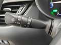 Toyota C-HR C-HR Hybrid PDC/CAMERA/NAVI/AIRCO Blanc - thumbnail 19