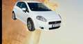 Fiat Grande Punto Grande Punto  3-Türer 1.4 8V Dynamic Weiß - thumbnail 3