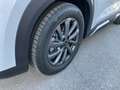 BYD Atto 2 DM-i Boost Weiß - thumbnail 8