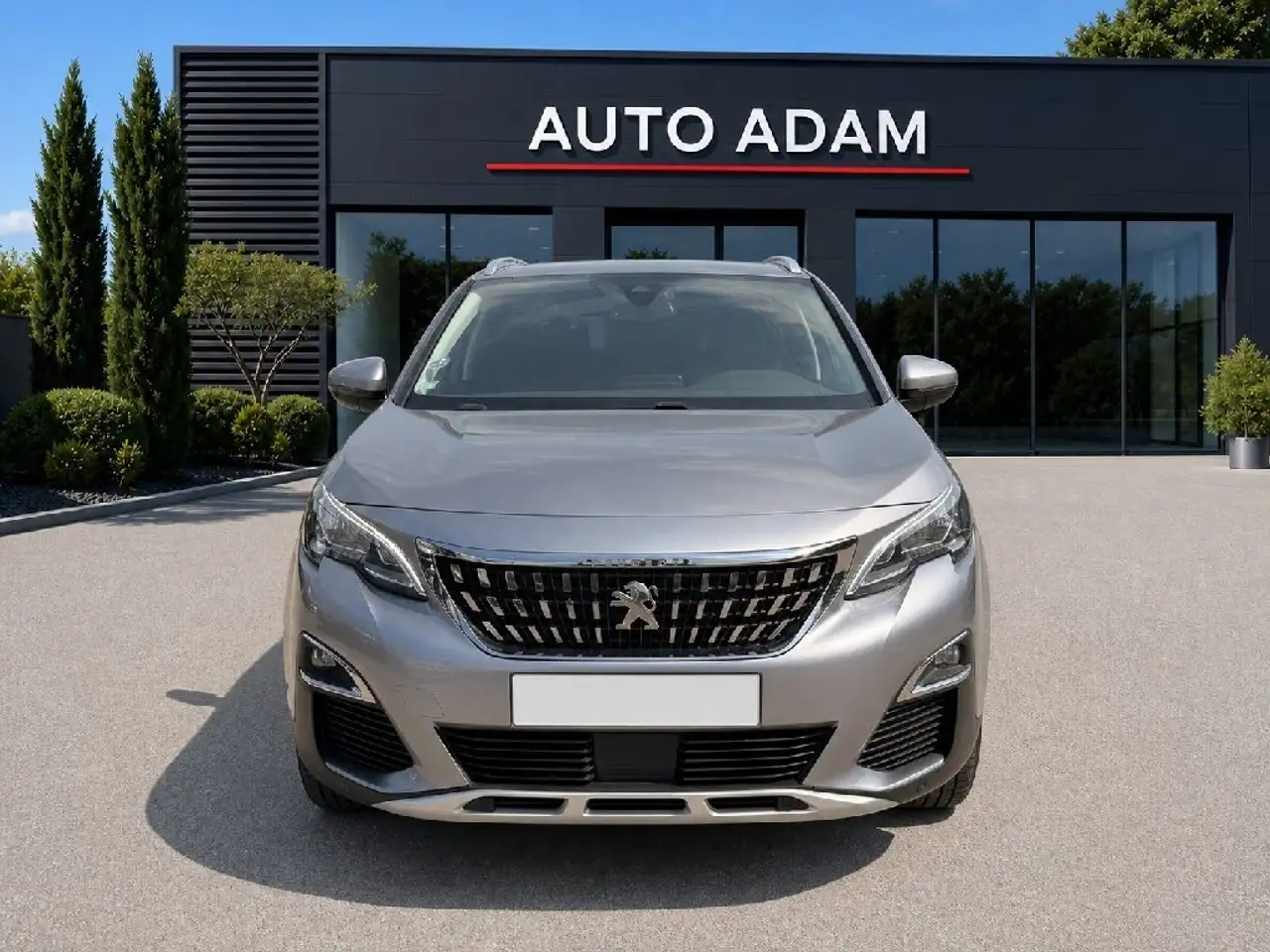 Peugeot 3008 3008 — photo 9