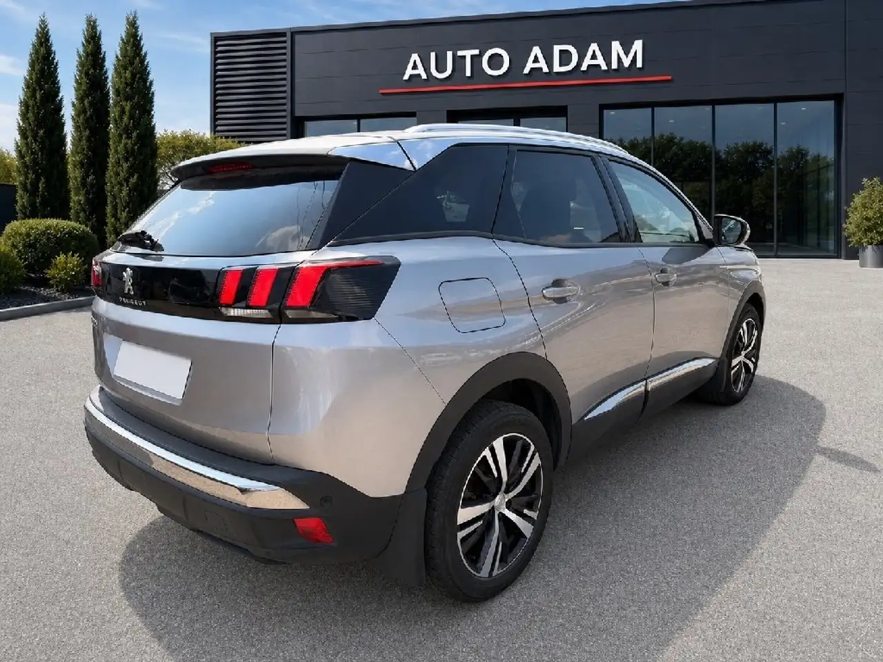 Peugeot 3008 3008 — photo 5
