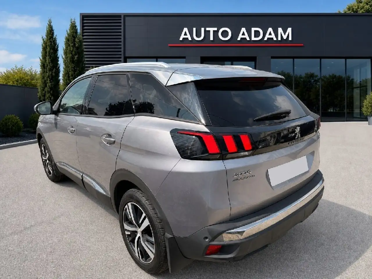 Peugeot 3008 3008 — photo 4