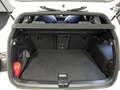 Volkswagen Golf VIII 1.5 eTSI DSG R-Line, Navi, Sitzh., Pan Weiß - thumbnail 14
