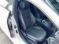 Mercedes-Benz CLS 300 d Edition 1 AMG Line *53LK*BURM*DESIGNO*GLASSD*360 Weiß - thumbnail 30