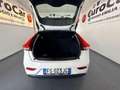 Volvo V40 V40 D2 Business Plus Weiß - thumbnail 23