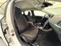 Volvo V40 V40 D2 Business Plus Weiß - thumbnail 18