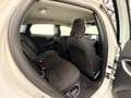 Volvo V40 V40 D2 Business Plus Weiß - thumbnail 22