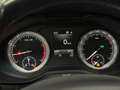 Skoda Karoq Style*Columbus*Standheizung*Kamera*2-Zonen Grau - thumbnail 22