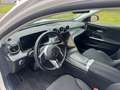 Mercedes-Benz C 220 T d All Terrain 4 MATIC LED AHK Kamera Blanco - thumbnail 4