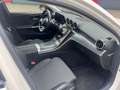 Mercedes-Benz C 220 T d All Terrain 4 MATIC LED AHK Kamera Blanco - thumbnail 8