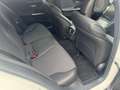 Mercedes-Benz C 220 T d All Terrain 4 MATIC LED AHK Kamera Blanco - thumbnail 6