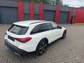 Mercedes-Benz C 220 T d All Terrain 4 MATIC LED AHK Kamera Blanco - thumbnail 3