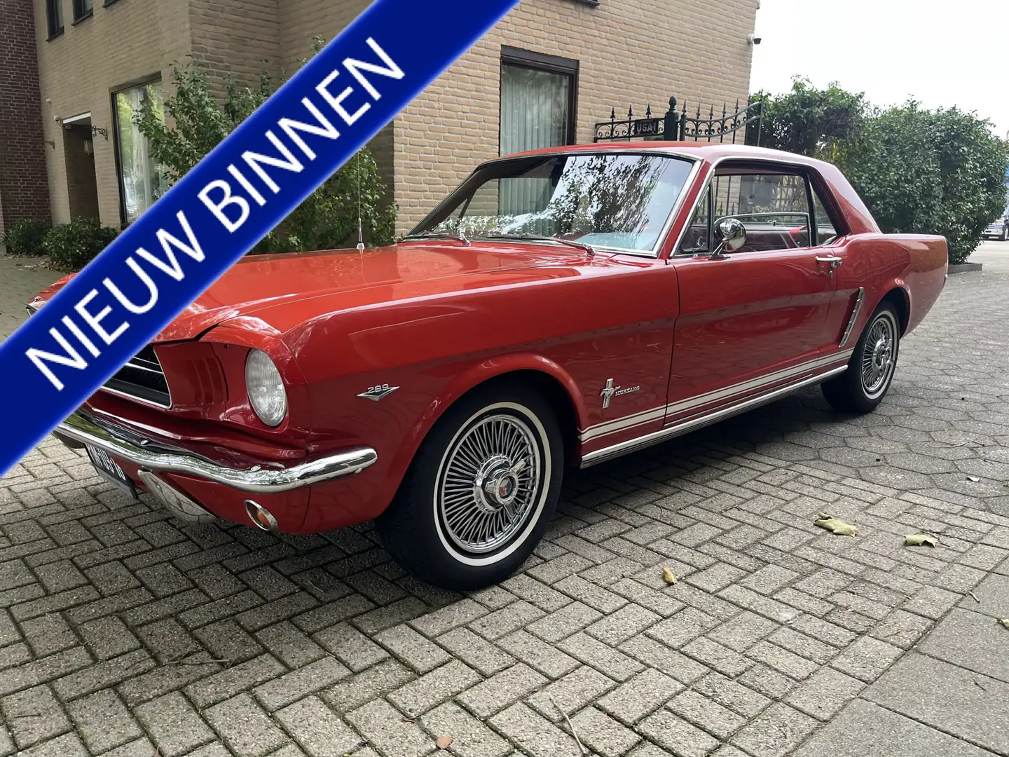 Ford Mustang 289 Rood - 1