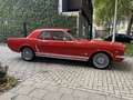 Ford Mustang 289 Rouge - thumbnail 7