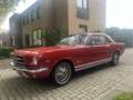 Ford Mustang 289 Rouge - thumbnail 17