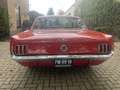 Ford Mustang 289 Rouge - thumbnail 37
