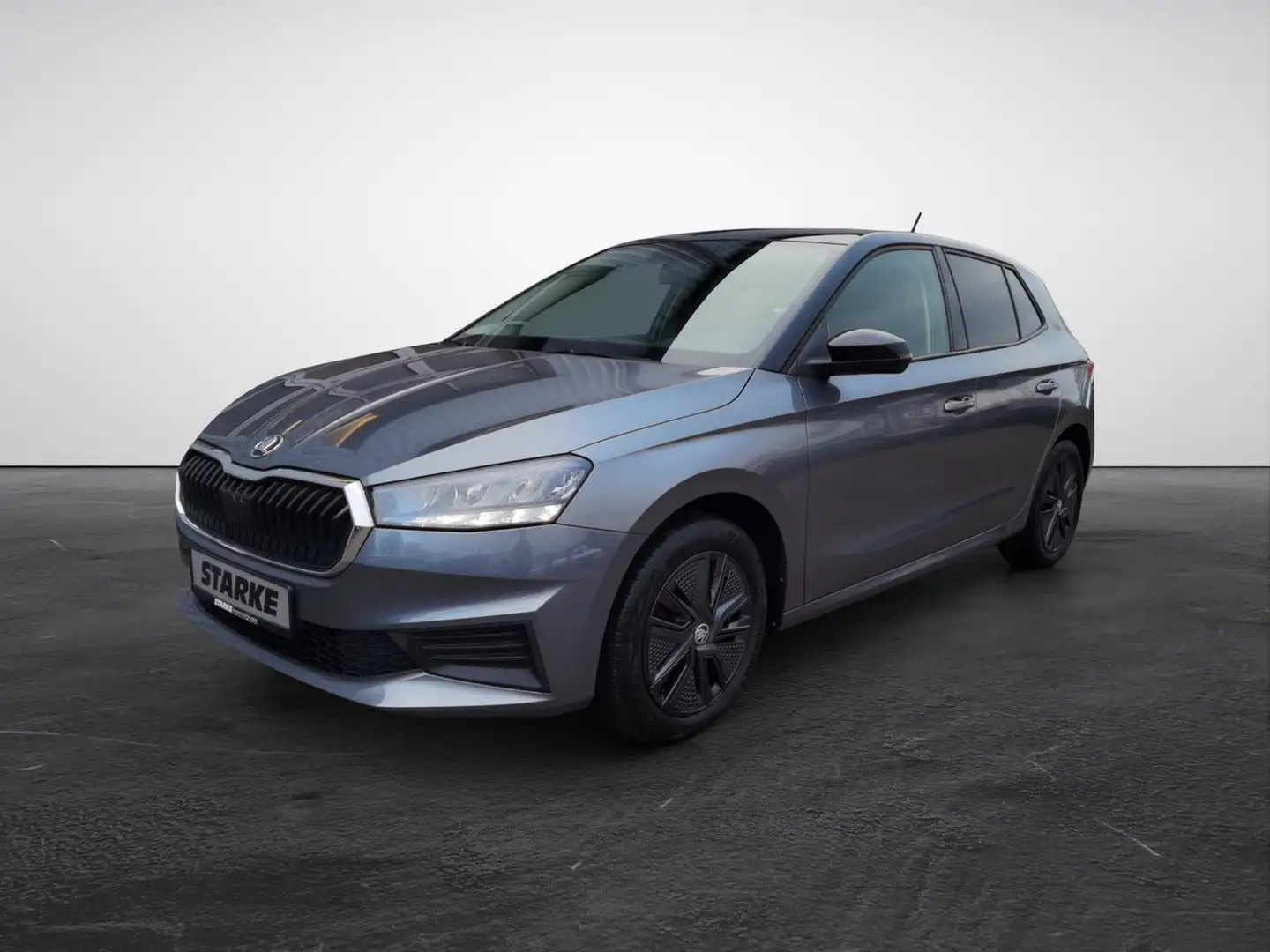 Skoda Fabia Ambition 1.0 l TSI 7-Gang DSG 110 PS Grau - 2