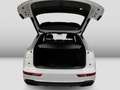 Audi Q5 40TDI quattro S line AHK Matrix Virtual CAM Wit - thumbnail 12