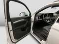Audi Q5 40TDI quattro S line AHK Matrix Virtual CAM Weiß - thumbnail 14