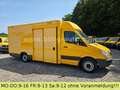 Mercedes-Benz Sprinter 906 Koffer Automatik Saxas CDI EU5 Gelb - thumbnail 4