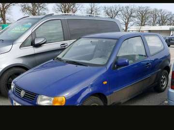 Polo 60 Servo Sportline