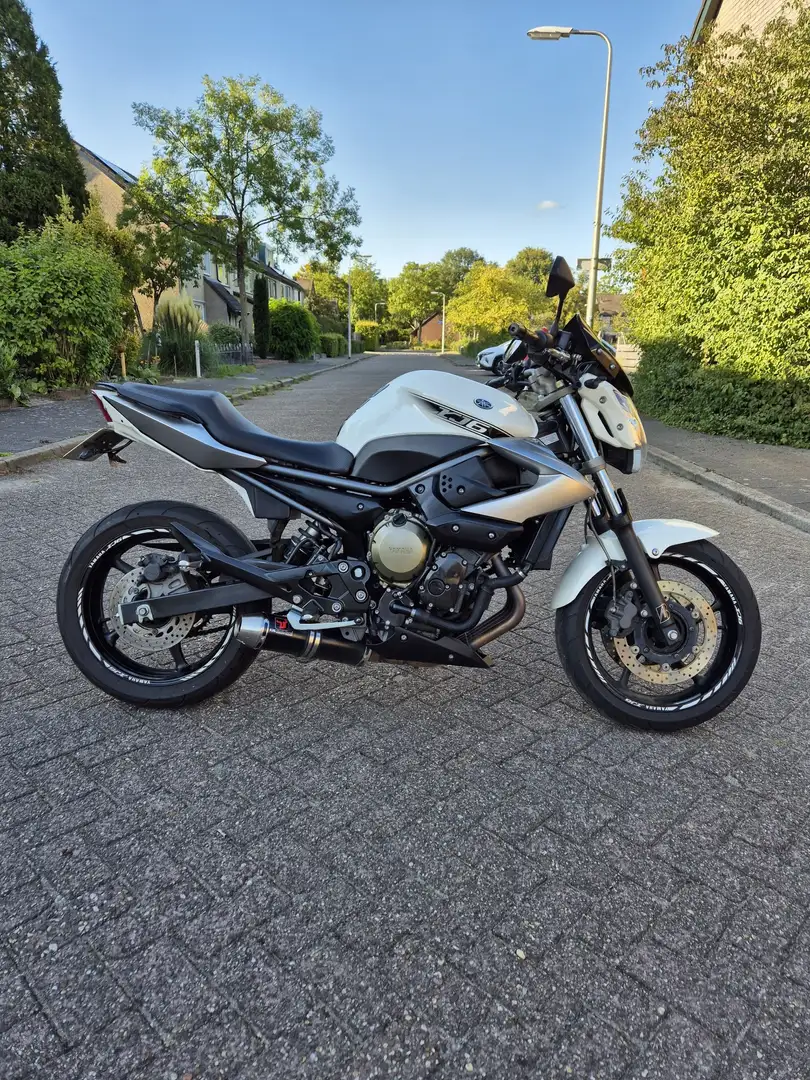 Yamaha XJ 6 zeer nette & stoere motor Wit - 1