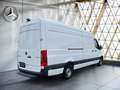 Mercedes-Benz Sprinter 317 CDI Kasten PRO L3H2 Kam*WinterPaket Weiß - thumbnail 15
