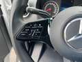 Mercedes-Benz Sprinter 317 CDI Kasten PRO L3H2 Kam*WinterPaket Weiß - thumbnail 21