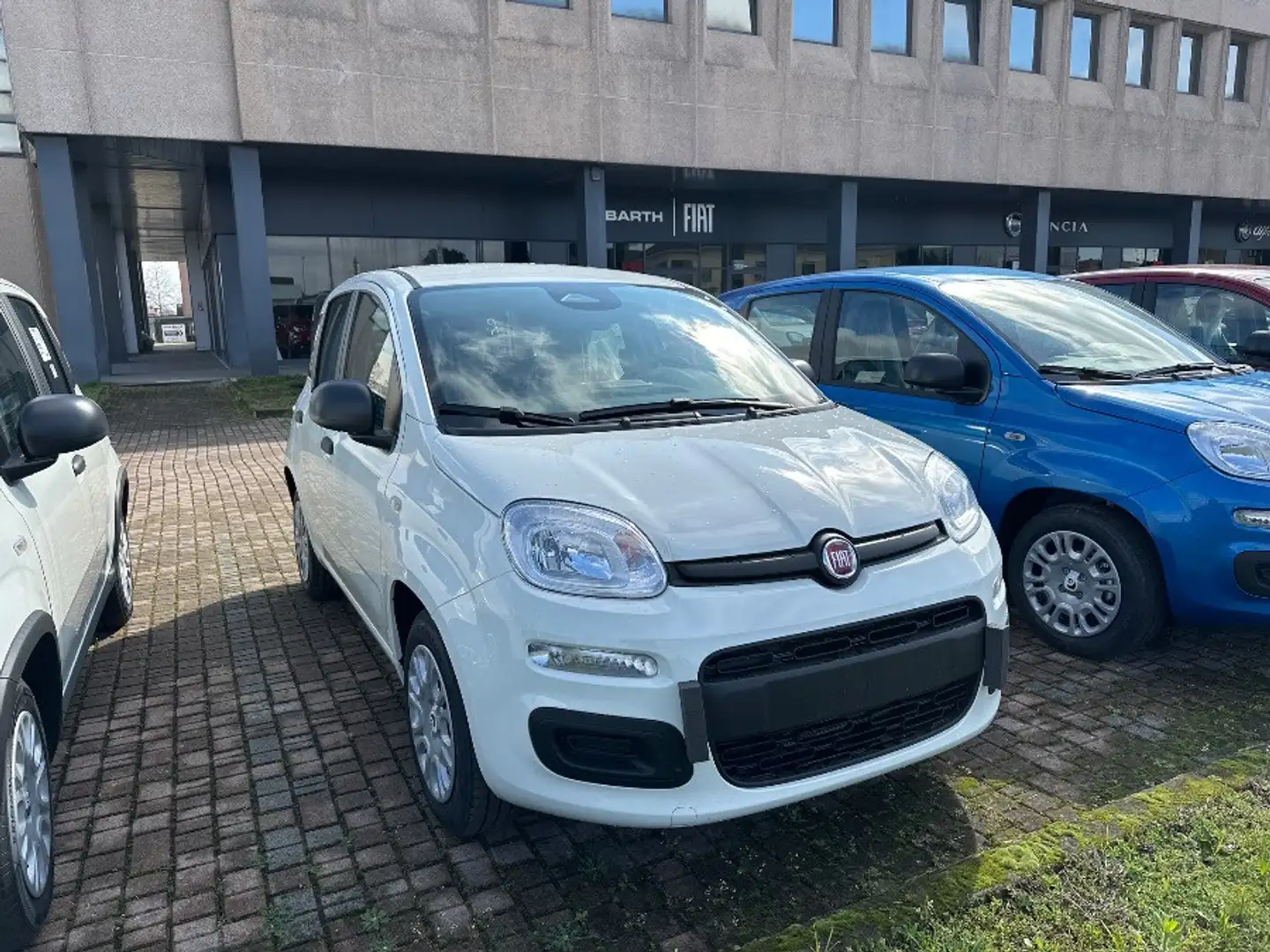 Fiat Panda 1.0 70cv Hybrid Panda Blanco - 1