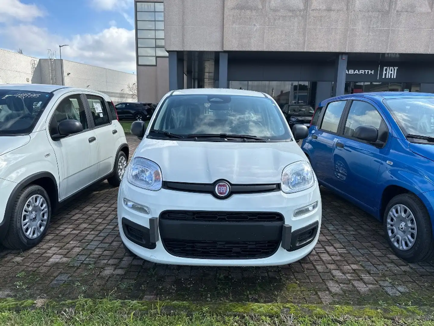 Fiat Panda 1.0 70cv Hybrid Panda Blanco - 2