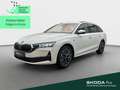 Skoda Octavia Combi 2.0 TDI DSG Selection*NAVI*AHK*360 Weiß - thumbnail 1