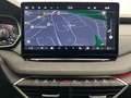 Skoda Octavia Combi 2.0 TDI DSG Selection*NAVI*AHK*360 Weiß - thumbnail 6